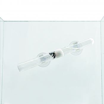 Preview: Suction cup holder 16mm 2pc